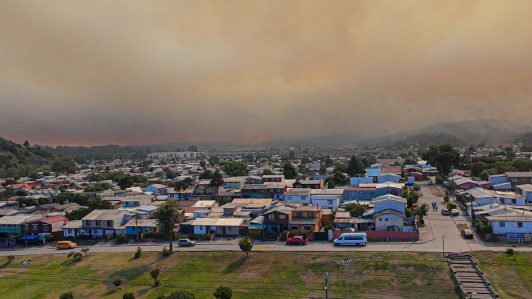 Conaf: Más de 8.500 hectáreas consumidas por incendios forestales en Ñuble y Biobío