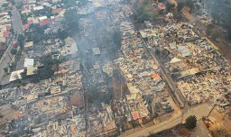 "Mi papá falleció acostadito con mi perrita": El relato de joven de Lirquén por el megaincendio en el Biobío
