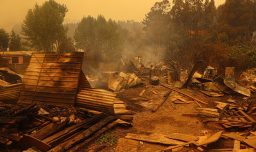 Más de 22 mil hectáras quemadas: El balance tras los masivos incendios en Ñuble y Biobío