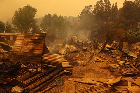 Más de 22 mil hectáras quemadas: El balance tras los masivos incendios en Ñuble y Biobío