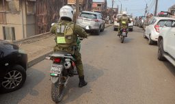 Incendios forestales: Informan restricción de movimiento en zonas norte-sur de Penco