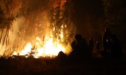 SEA suspende evaluación ambiental de proyecto de tierras raras en Penco tras incendios forestales en Biobío
