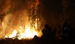 Madre de las mellizas rescatadas en Penco está fuera de riesgo vital, pero su hijo permanece en "condición grave"