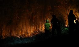 Detienen a sujeto por incendio en Perquenco: Portaba líquido acelerante, fósforos e intentó escapar