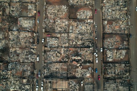 Uruguay lamenta los incendios forestales en Chile: Anunciaron apoyo al Gobierno