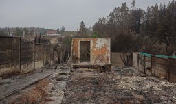 Gobierno anunció bonos para damnificados por incendios forestales en Ñuble y Biobío