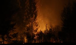 Detienen al presunto autor del origen de los incendios en el Biobío: Pasará a control de detención este viernes