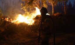 Incendios forestales: China ofrece sus condolencias por los 21 fallecidos