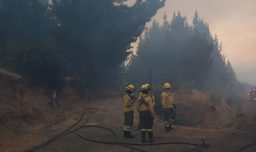 Balance por incendios forestales a nivel nacional: Hay 10 activos y 16 controlados