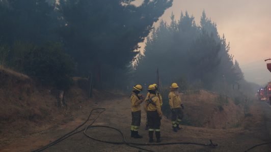 Balance por incendios forestales a nivel nacional: Hay 10 activos y 16 controlados