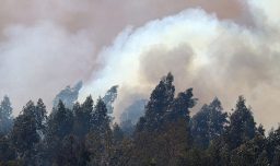 Incendios forestales: Senapred solicita evacuar sectores de La Araucanía y decreta alerta roja en comunas de la región