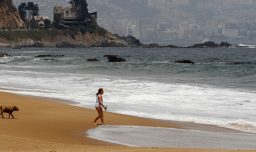 Tras prohibición de baño en dos playas del país: ¿Qué hacer ante picadura de una fragata portuguesa?