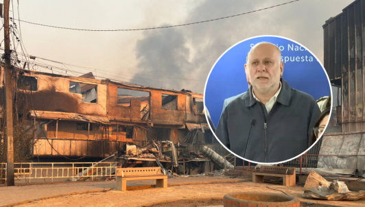 Balance por incendios forestales tras COGRID: 19 muertos, 1.533 damnificados y 325 viviendas destruidas