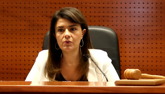 Caso Audios: Corte de Apelaciones de Santiago acoge querella de capítulos contra exministra Verónica Sabaj