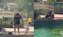 Video del patito en Mall Plaza Oeste: Influencer, mall y mujer involucrada entregan sus versiones