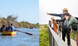 Panoramas de verano 2026 en Valparaíso: Actividades gratuitas en el Parque Humedal Río Maipo durante febrero