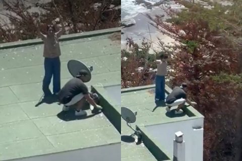 Maitencillo: Indignación por pareja que fue captada lanzando polluelos de gaviota desde la azotea de un edificio