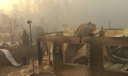 Devastadores registros de incendios forestales en el Biobío: Punta de Parra es una de las zonas más afectadas