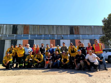 Brigadistas argentinos llegan a Chile para reforzar combate de incendios forestales
