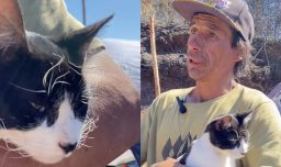 Testimonio viral detalla cómo gato salvó a su dueño de los incendios de Lirquén