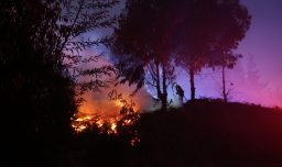 Conaf reporta 48 incendios activos en Chile: 10 siguen en combate y alertan riesgo por “vientos puentes” desde el 27
