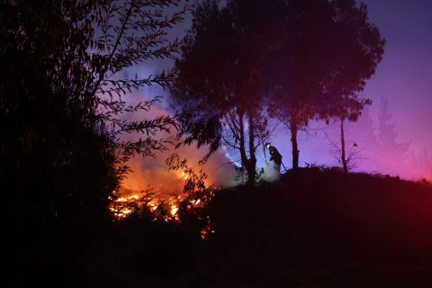 Conaf reporta 48 incendios activos en Chile: 10 siguen en combate y alertan riesgo por “vientos puentes” desde el 27