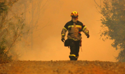 Incendios: Denuncias de disparos obligan a reforzar seguridad para Bomberos y Gobierno descarta evidencia de ataques en Concepción