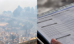 Ficha FIBE: Gobierno espera iniciar desde el martes el catastro de familias afectadas por incendios en la Región del Biobío