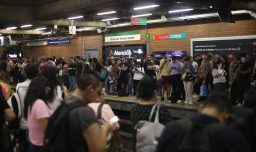 Retraso en Línea 5 del Metro por perrito en la vía: Activan operativo de rescate