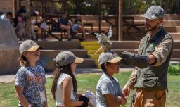 Junaeb lanzó el programa Escuelas Abiertas de Verano 2026: ¿Cómo participar?