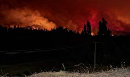 "Son más de 3 mil viviendas amenazadas": El desesperado llamado del alcalde de Penco para evacuar por incendios forestales