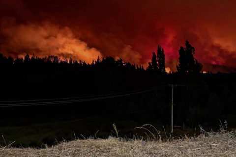 "Son más de 3 mil viviendas amenazadas": El desesperado llamado del alcalde de Penco para evacuar por incendios forestales