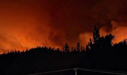 Rutas cortadas, casas quemadas y autoridades en alerta: Preocupación por incendios forestales en Ñuble y Biobío