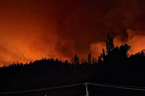Rutas cortadas, casas quemadas y autoridades en alerta: Preocupación por incendios forestales en Ñuble y Biobío