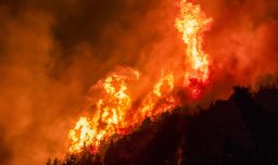 Más de cuatro mil hectáreas arrasadas por los incendios en la Patagonia argentina