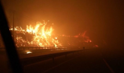 Ordenan evacuaciones en Quillón y Florida por incendio forestal que ya cruzó la Ruta N-48 y provocó corte de tránsito