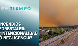 Incendios forestales en el Ñuble y Biobío: ¿Intencionalidad o negligencia?