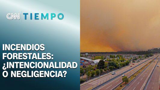 Incendios forestales en el Ñuble y Biobío: ¿Intencionalidad o negligencia?