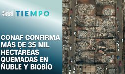 Conaf confirma más de 35 mil hectáreas quemadas en Ñuble y Biobío | CNN Tiempo