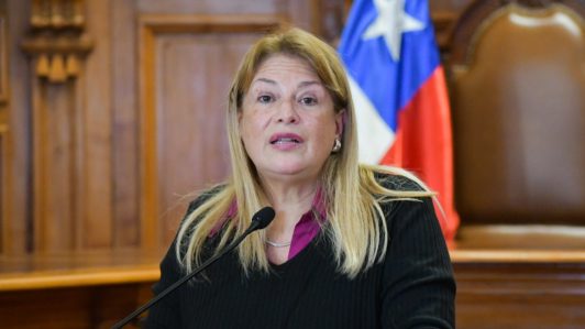 Corte Suprema acoge querella contra Ángela Vivanco en Caso Muñeca Bielorrusa: Resolución levanta el fuero de la exministra