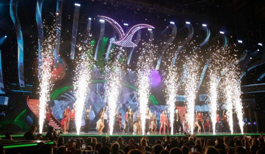 Más policías, grúas y multas de hasta $200 mil: Los detalles del plan de seguridad para el Festival de Viña del Mar 2026