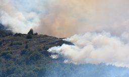 CGE deberá pagar $400 millones a vecinos de Navidad por responsabilidades en incendio forestal de 2019