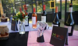 Fiestas de la Vendimia 2026 en Chile: Más de 40 celebraciones desde Arica y Parinacota hasta La Araucanía