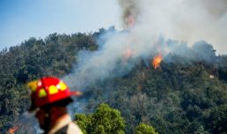 Incendio en Limache y Concón ha consumido cerca de 250 hectáreas: Región de Valparaíso se mantiene bajo alerta amarilla