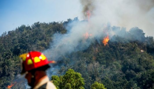 Incendio en Limache y Concón ha consumido cerca de 250 hectáreas: Región de Valparaíso se mantiene bajo alerta amarilla