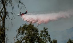 Senapred solicita evacuar sector de comuna de San Nicolás por incendio forestal