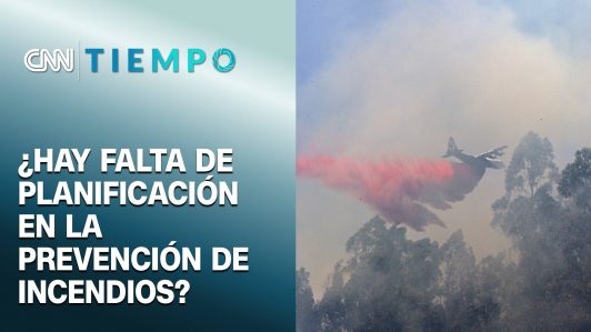 Incendios forestales: el costo de una planificación territorial ausente