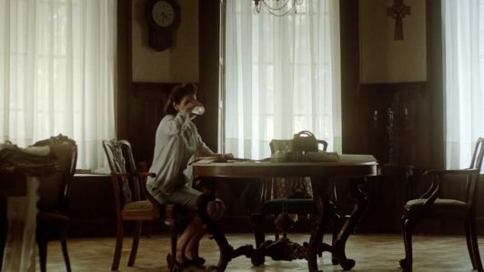 Chile es el segundo país con mayor presencia en TV de Berlinale con tres series: "La casa de los espíritus", "Raza Brava" e "Isla oculta"