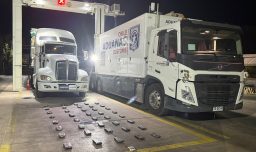 Aduanas detectó camión verdulero con 45 kilos de cocaína que trasladaba a Santiago