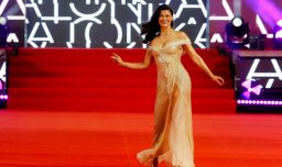 Comienza la Gala de Viña: Tonka Tomicic deslumbra en la Gala de Viña 2026 con un vestido reciclado de 2008